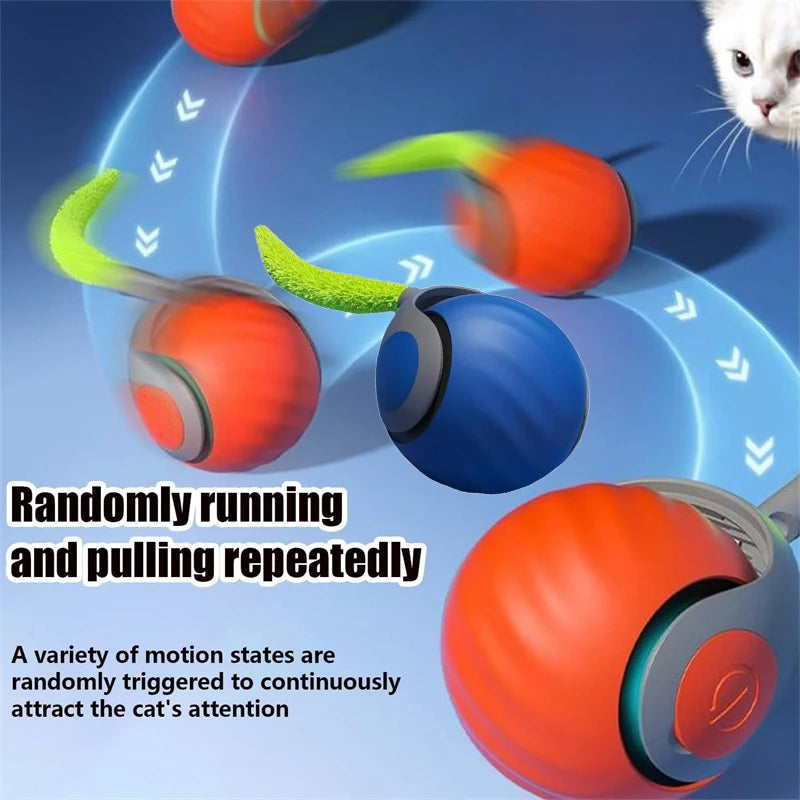 Balle Interactive Sonore pour Chat – Peluche & Herbe à Chat