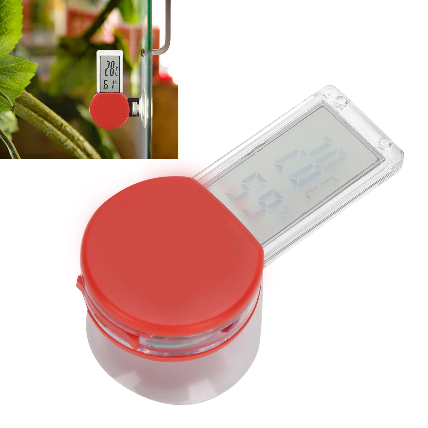 Thermomètre Hygromètre Digital pour Terrarium Reptiles – Affichage Température & Humidité, IP5, Ventouse