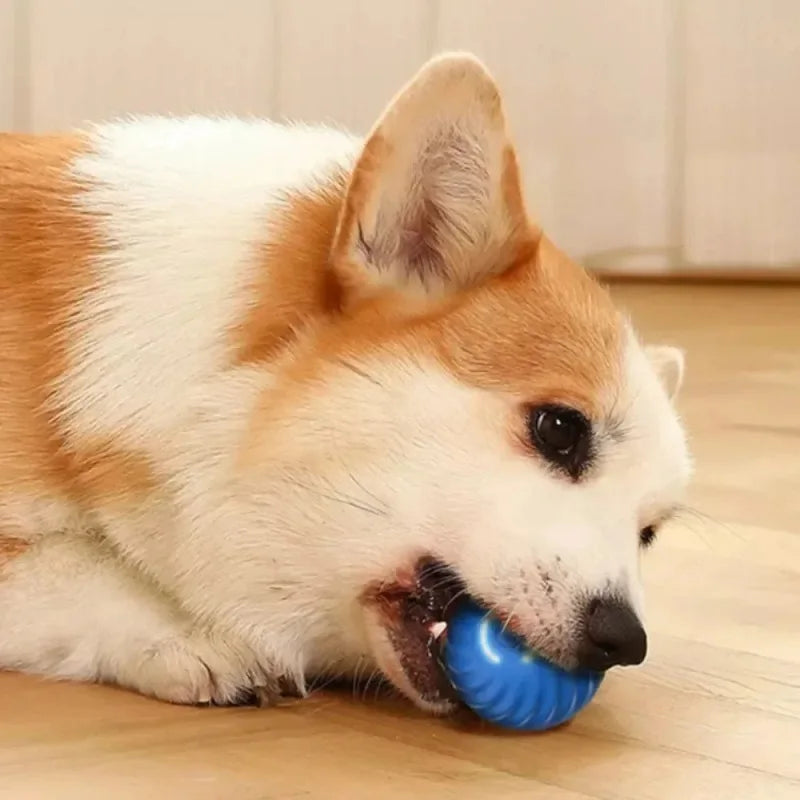 Balle Interactive Automatique pour Chien – USB