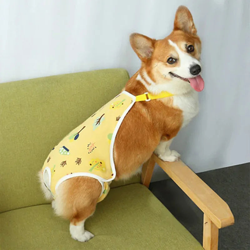 Culotte Physiologique Réglable pour Chienne – Lavable, Toutes Saisons