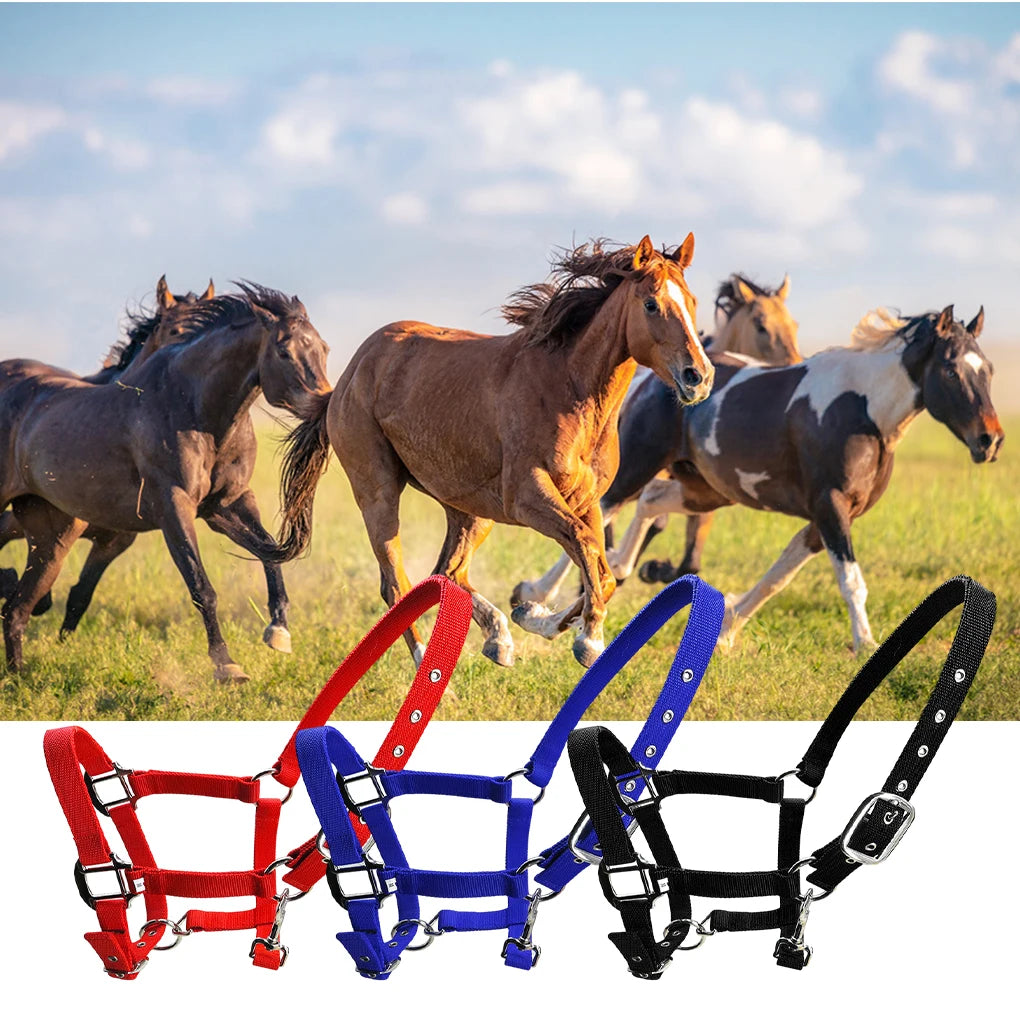 Licol Réglable Anti-Rouille pour Poney & Cheval – Alliage de Zinc, 3 Couleurs, XS à XL