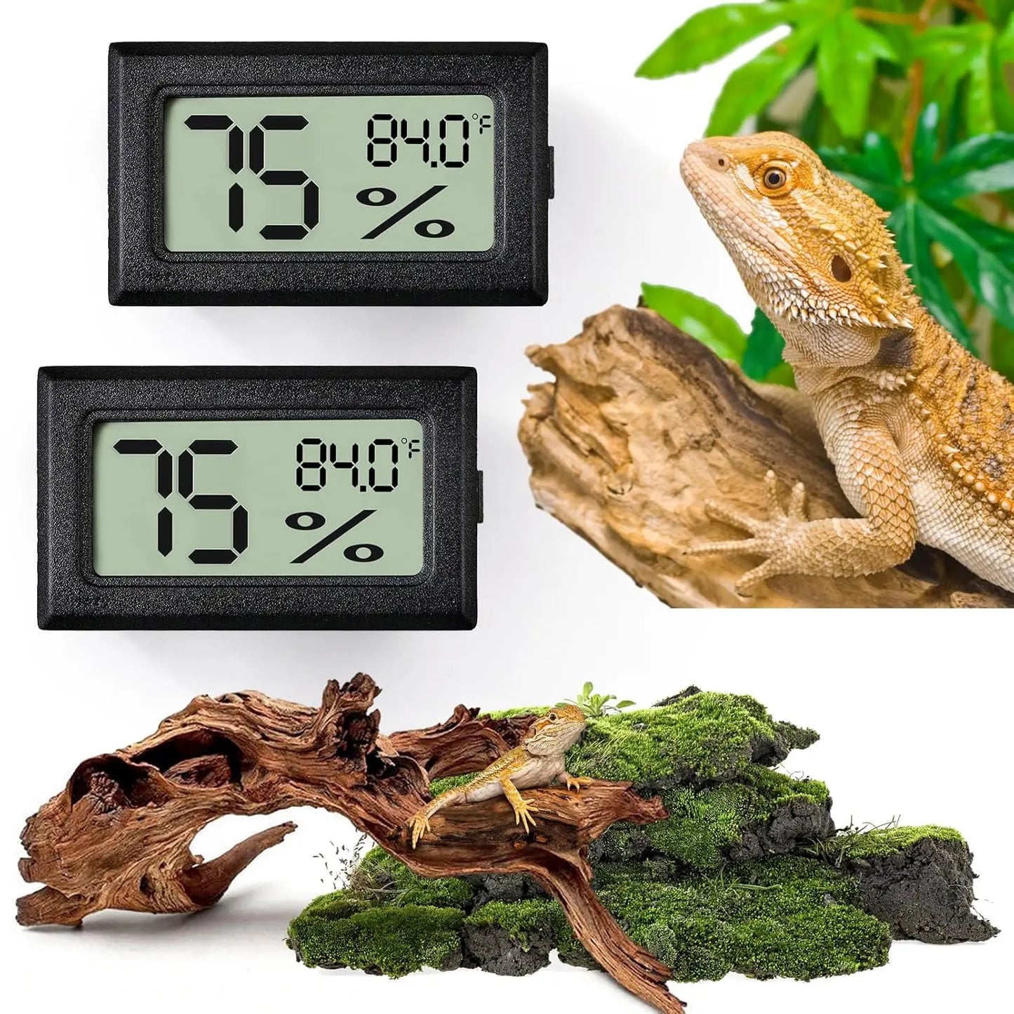 Thermomètre & Hygromètre LCD pour Terrarium Reptile – Haute Précision