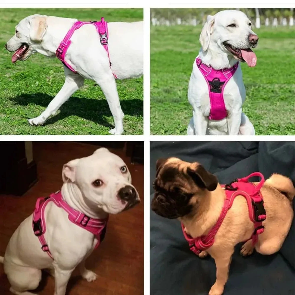 Harnais Réfléchissant Réglable pour Chien
