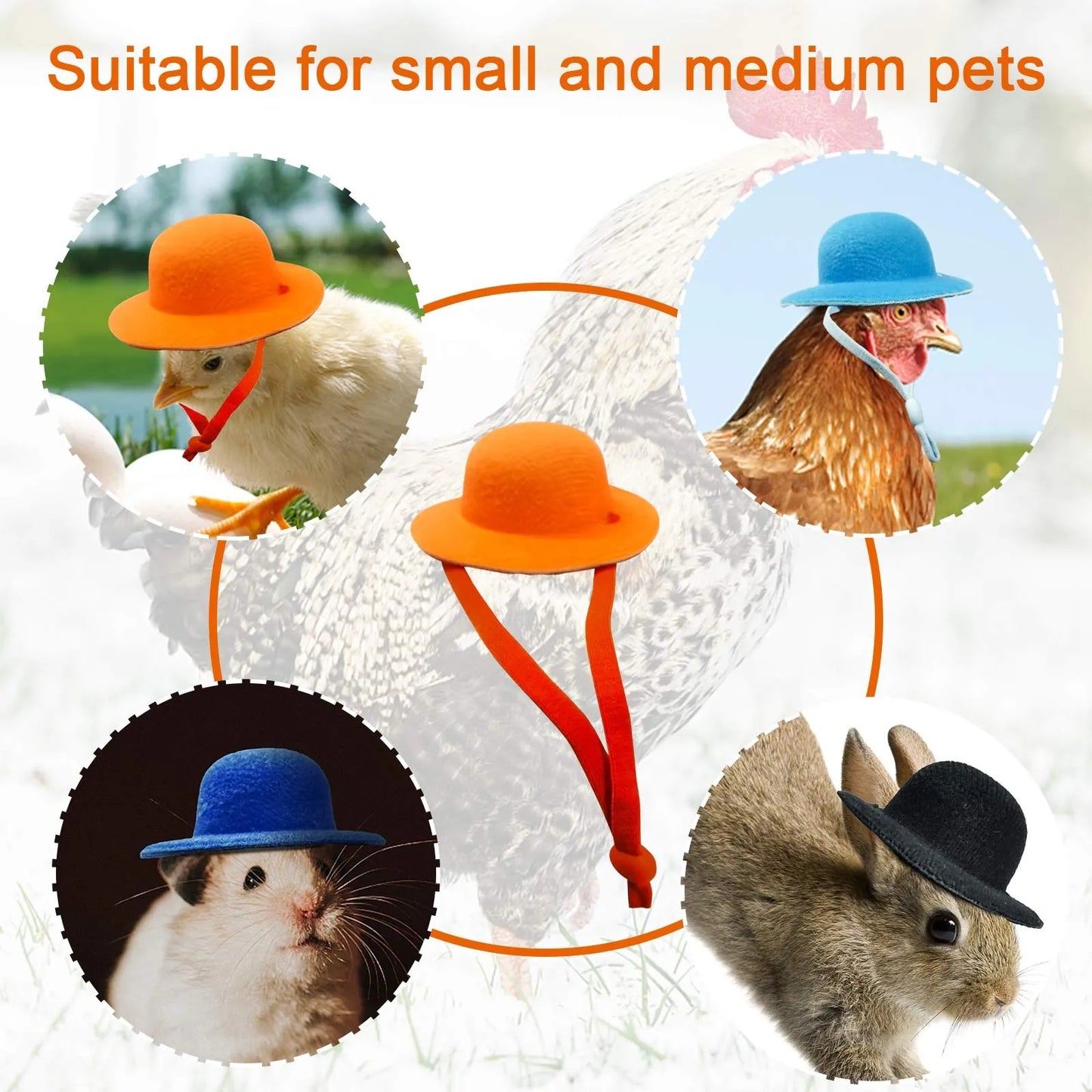 Mini Chapeau à Plumes pour Poule & Petits Animaux – 12 Couleurs
