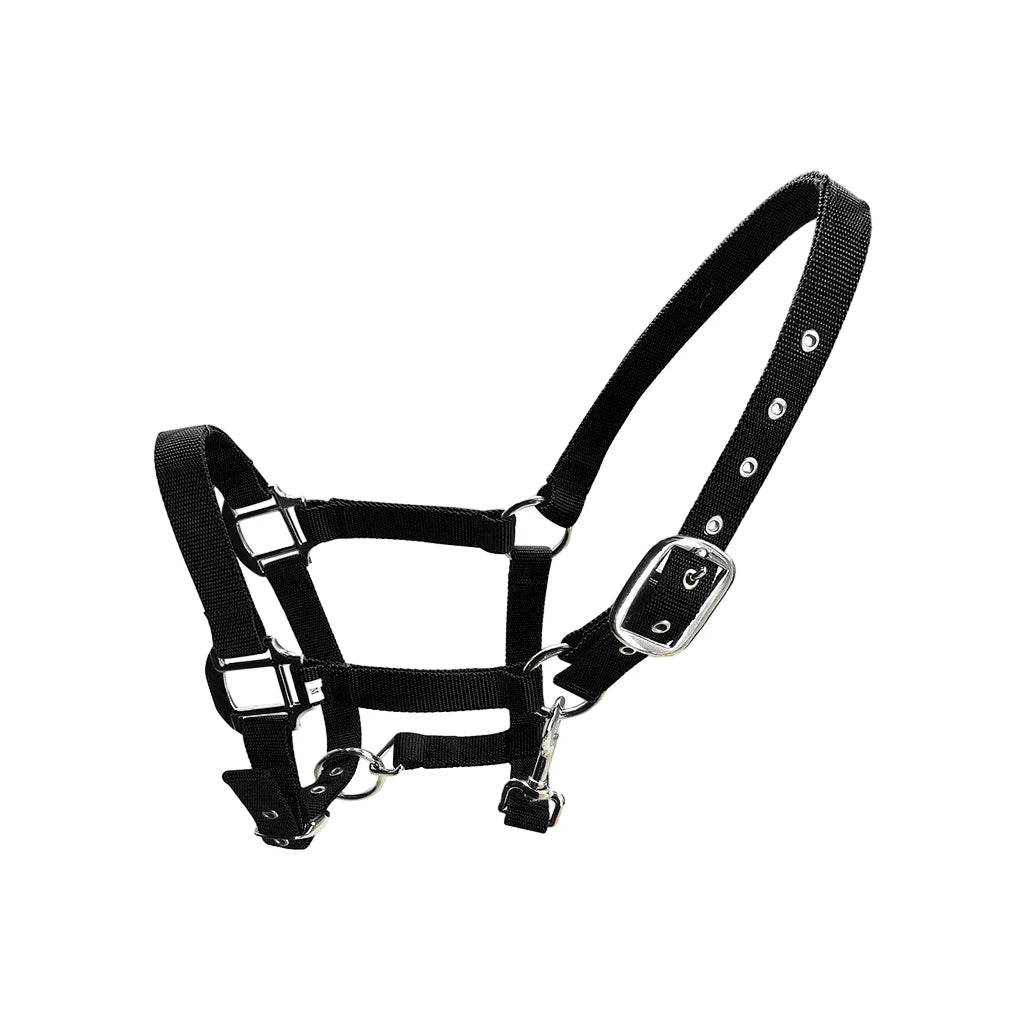 Licol Réglable Anti-Rouille pour Poney & Cheval – Alliage de Zinc, 3 Couleurs, XS à XL