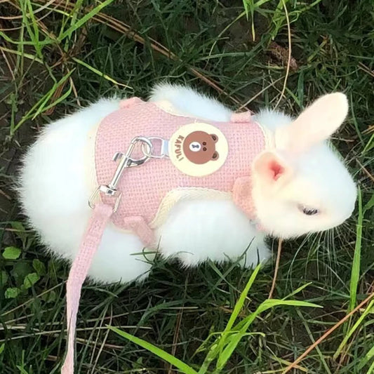 Harnais et laisse dessin animé pour chat et lapin