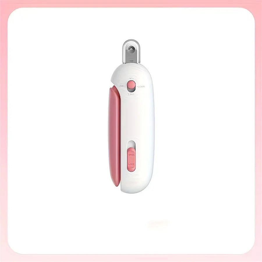 Balle Interactive Sonore pour Chat – Peluche & Herbe à Chat