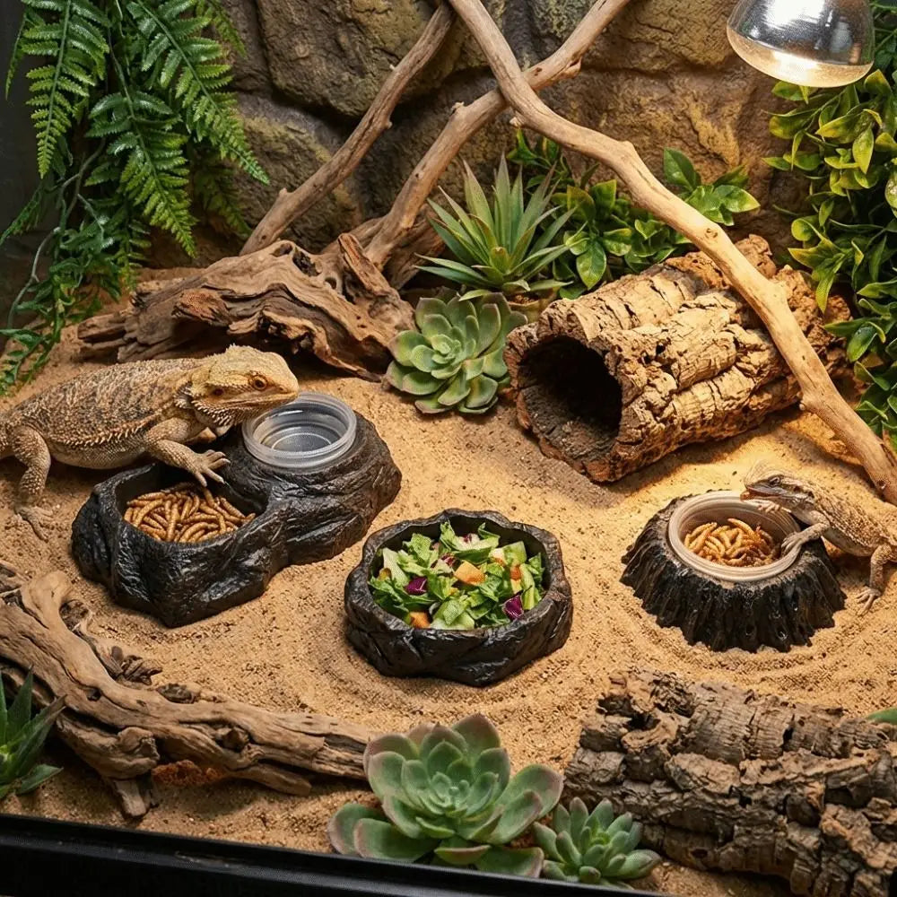 Plat d'alimentation en résine imitation pierre, résistant à l'usure, avec bols, bol pour nourriture de reptile, empêche les déversements, anti-choc