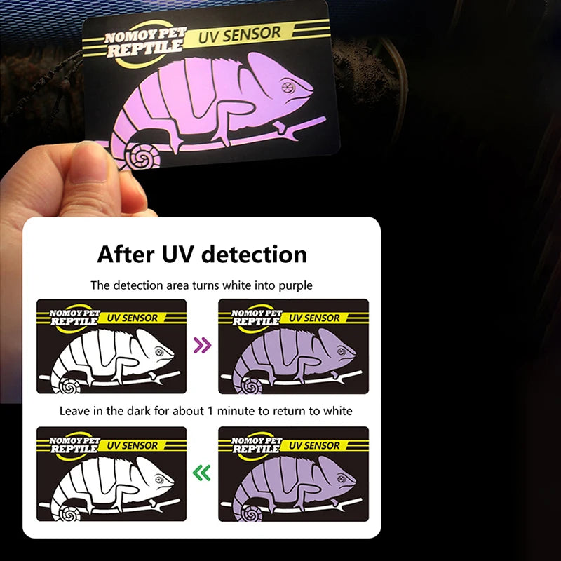 Carte Test UVB Réutilisable pour Terrarium Reptiles – Détection Intensité UV, 500 Utilisations