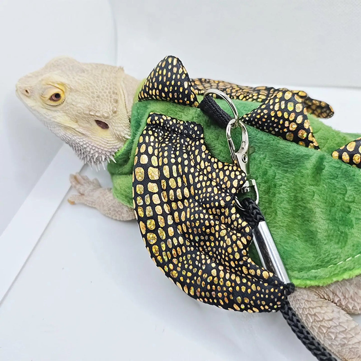 Harnais & Laisse Réglable pour Reptile – Dragon Barbu, Tortue & Petits Animaux