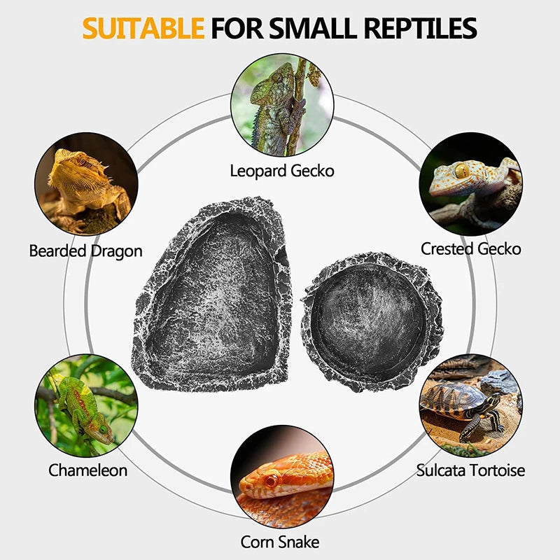 Bol en Résine Imitation Pierre pour Reptiles – Mangeoire & Abreuvoir Naturel