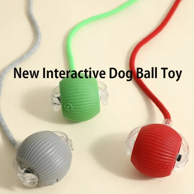Balle Interactive Automatique pour Chien – Rechargeable USB-C, 3 Modes, Évitement d'Obstacles