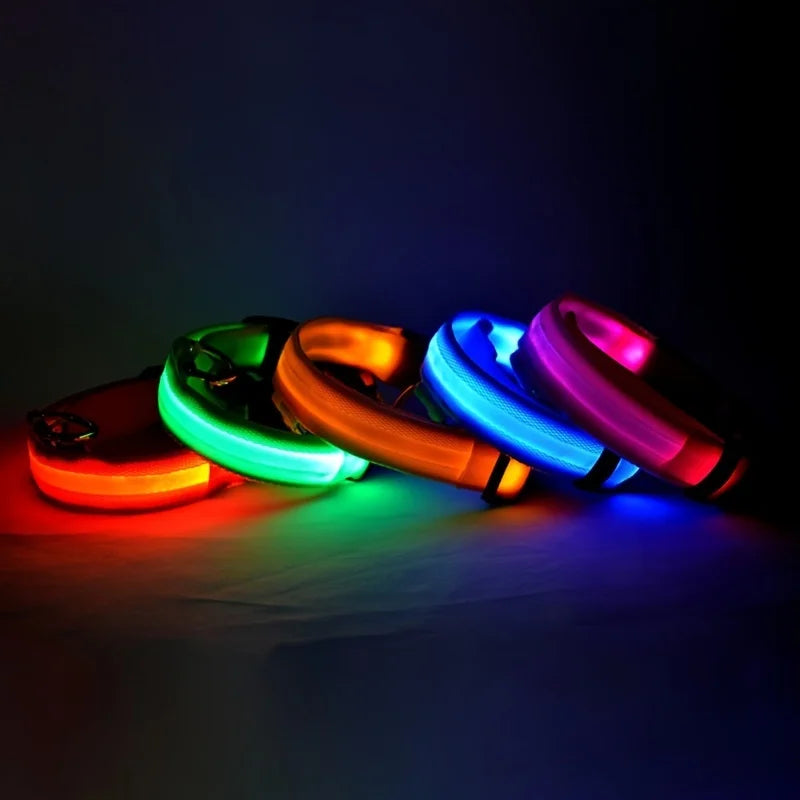 Collier LED Fluorescent pour Chien — Sécurité Nocturne, Nylon, 7 Coloris