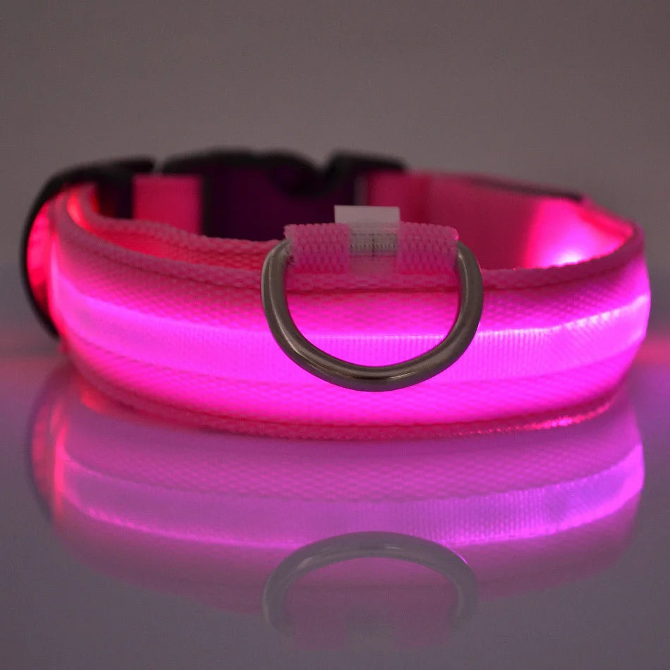 Collier LED Fluorescent pour Chien — Sécurité Nocturne, Nylon, 7 Coloris