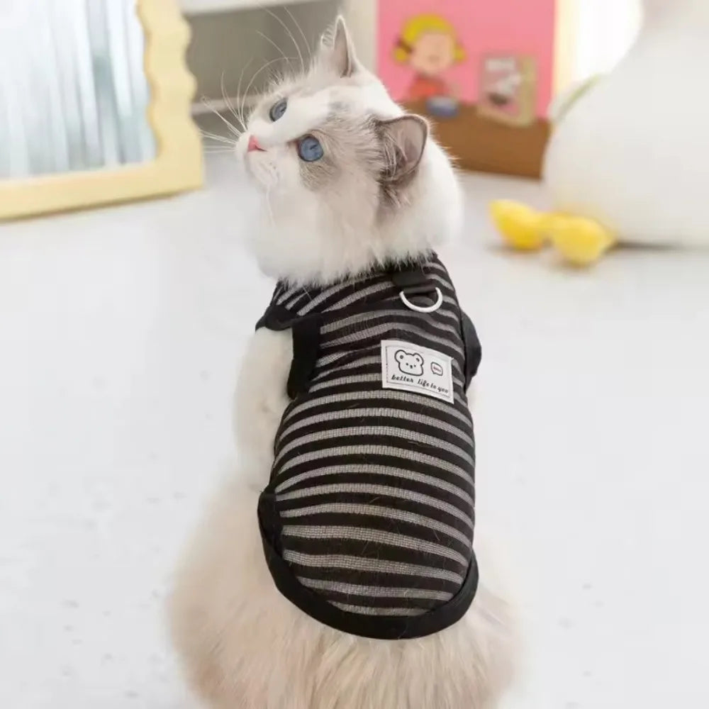 Gilet d'été pour petits et moyens chiens, vêtements rafraîchissants pour Chihuahua, Bouledogue Français, vêtements respirants, chemise décontractée pour chiot, costume pour chien