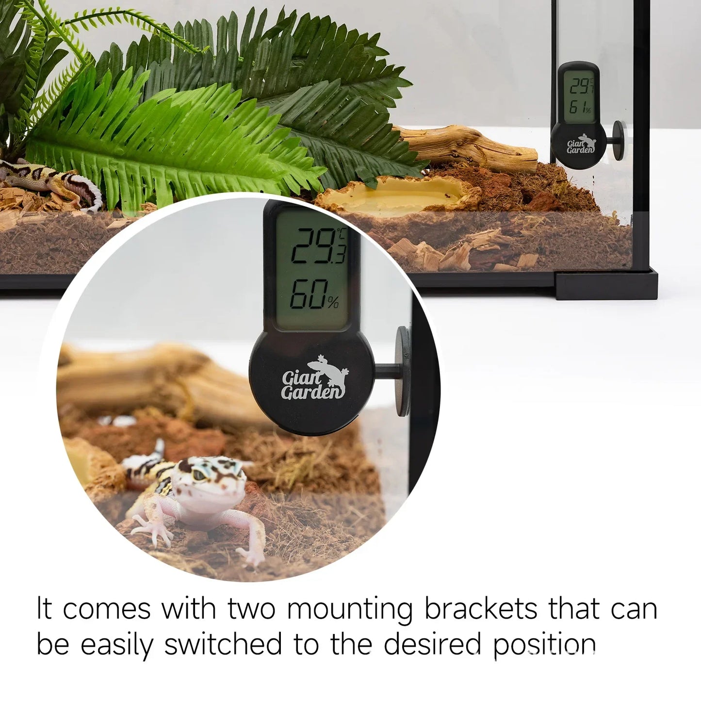 Hygromètre & Thermomètre pour Terrarium – Surveillance Température & Humidité