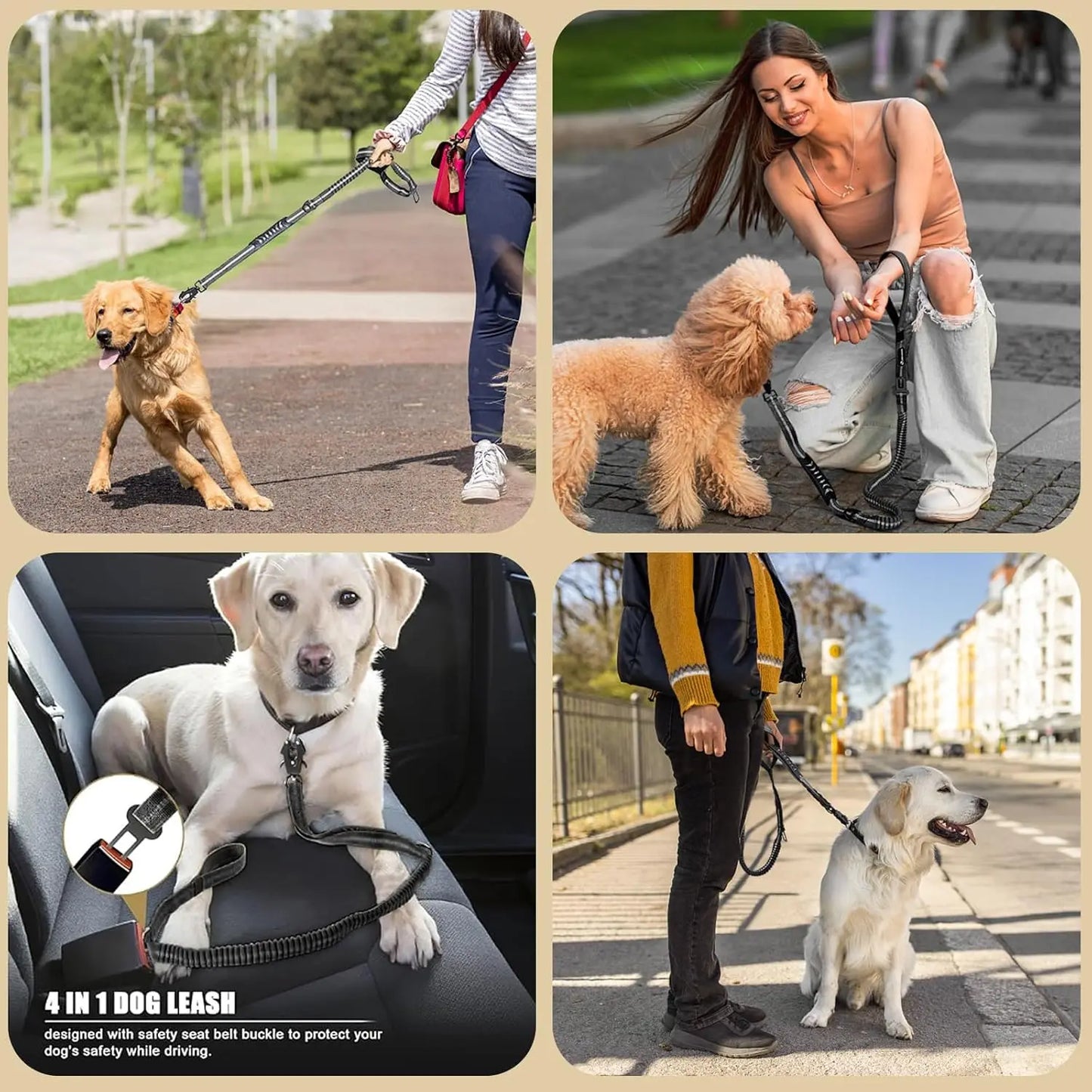 Laisse Tactique Réfléchissante pour Grand Chien – Double Poignée, Anti-Traction, Absorption des Chocs
