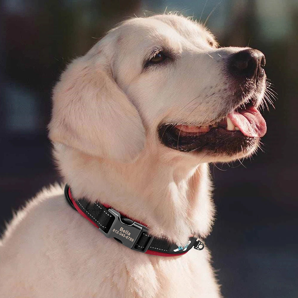 Collier pour Chien Personnalisable | Réfléchissant, Rembourré & Médaille Gravée Offerte