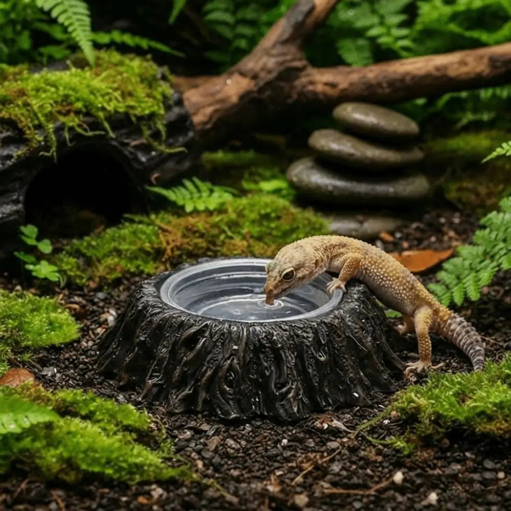 Plat d'alimentation en résine imitation pierre, résistant à l'usure, avec bols, bol pour nourriture de reptile, empêche les déversements, anti-choc