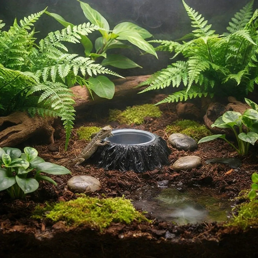 Plat d'alimentation en résine imitation pierre, résistant à l'usure, avec bols, bol pour nourriture de reptile, empêche les déversements, anti-choc