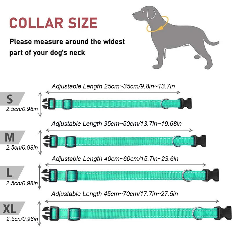 Collier Réfléchissant en Nylon pour Chien – Réglable, Visible de Nuit, 7 Couleurs, S à XL