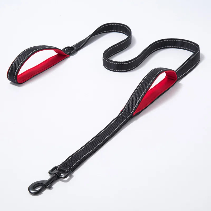 Laisse chien double poignée réfléchissante – Nylon robuste, L 150 cm & XL 180 cm