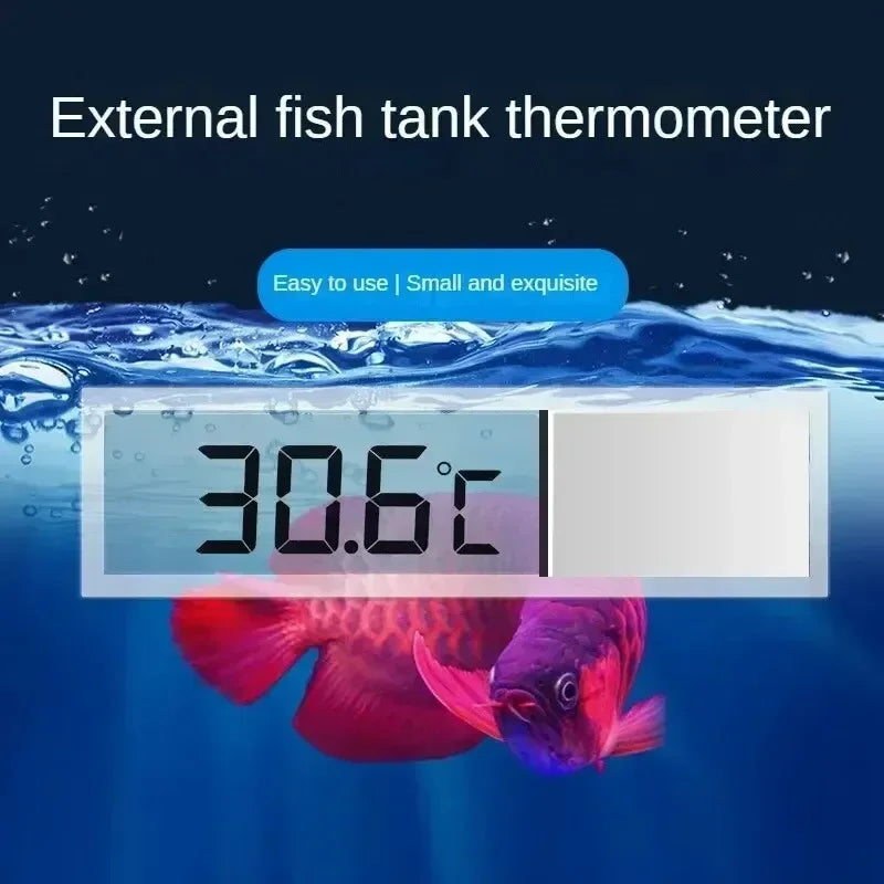Thermomètre Digital Adhésif pour Aquarium – Affichage LCD Transparent, ±0,1°C, Or / Argent
