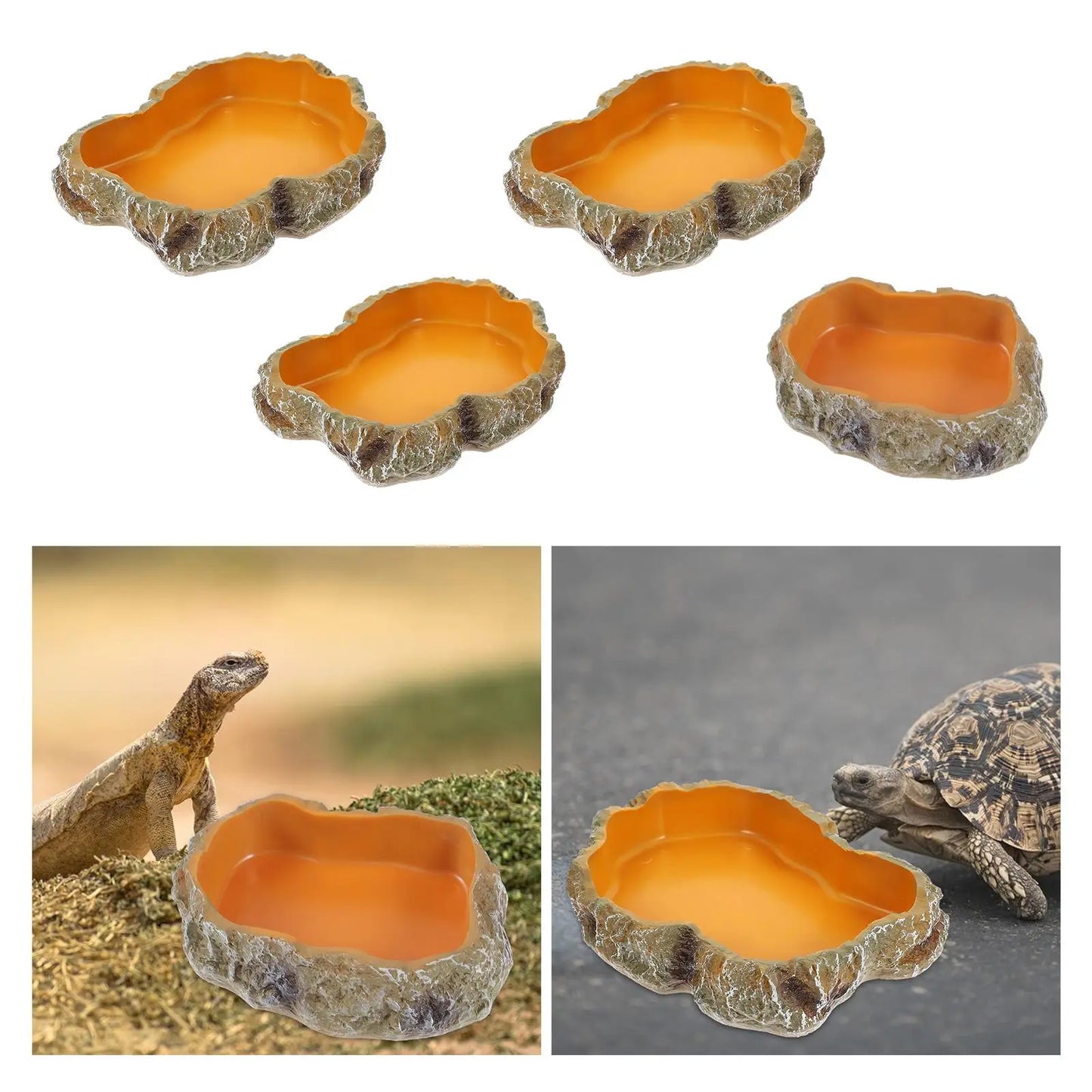 Gamelle en Résine Imitation Roche pour Reptiles & Amphibiens – Eau & Nourriture, XS à L