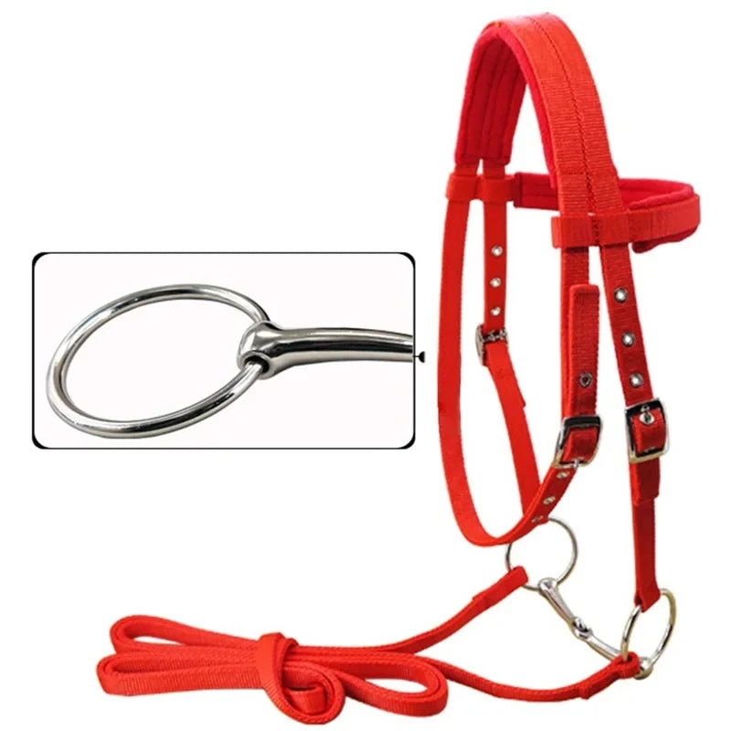 Licol en Polaire Rembourré pour Cheval – Réglable, Ultra-Doux, S / M / L