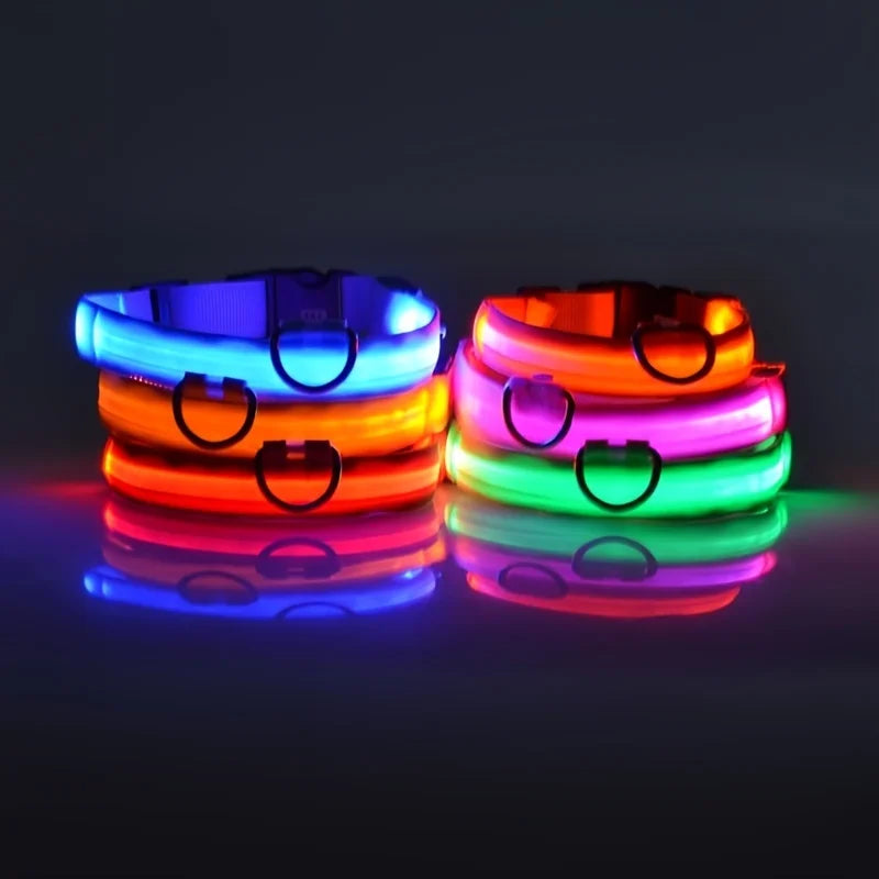 Collier LED Fluorescent pour Chien — Sécurité Nocturne, Nylon, 7 Coloris