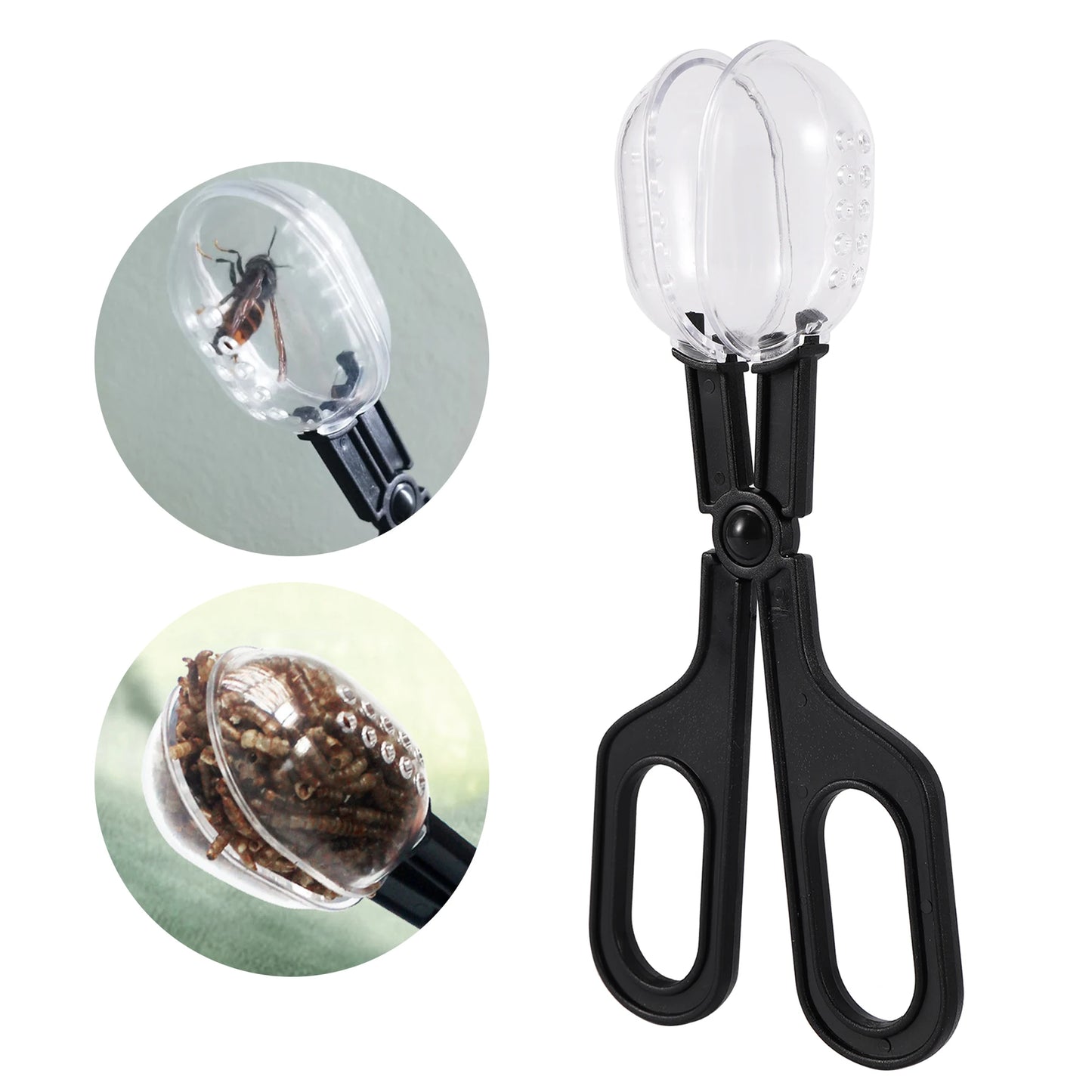 Pince à Insectes Transparente pour Reptiles – Capture Vivante, Plastique ABS, Tortue & Lézard