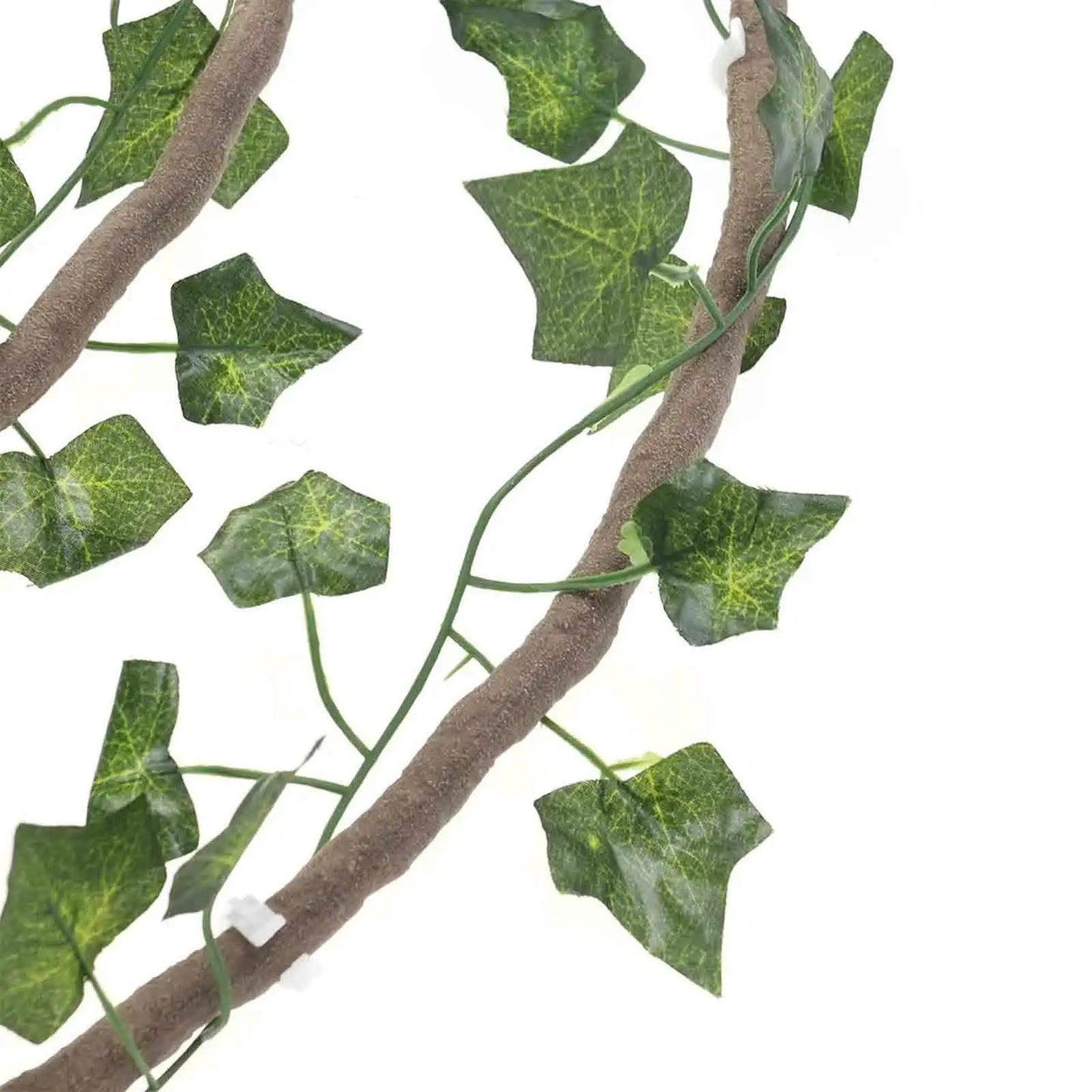 Lianes Décoratives Flexibles pour Terrarium – 100 cm