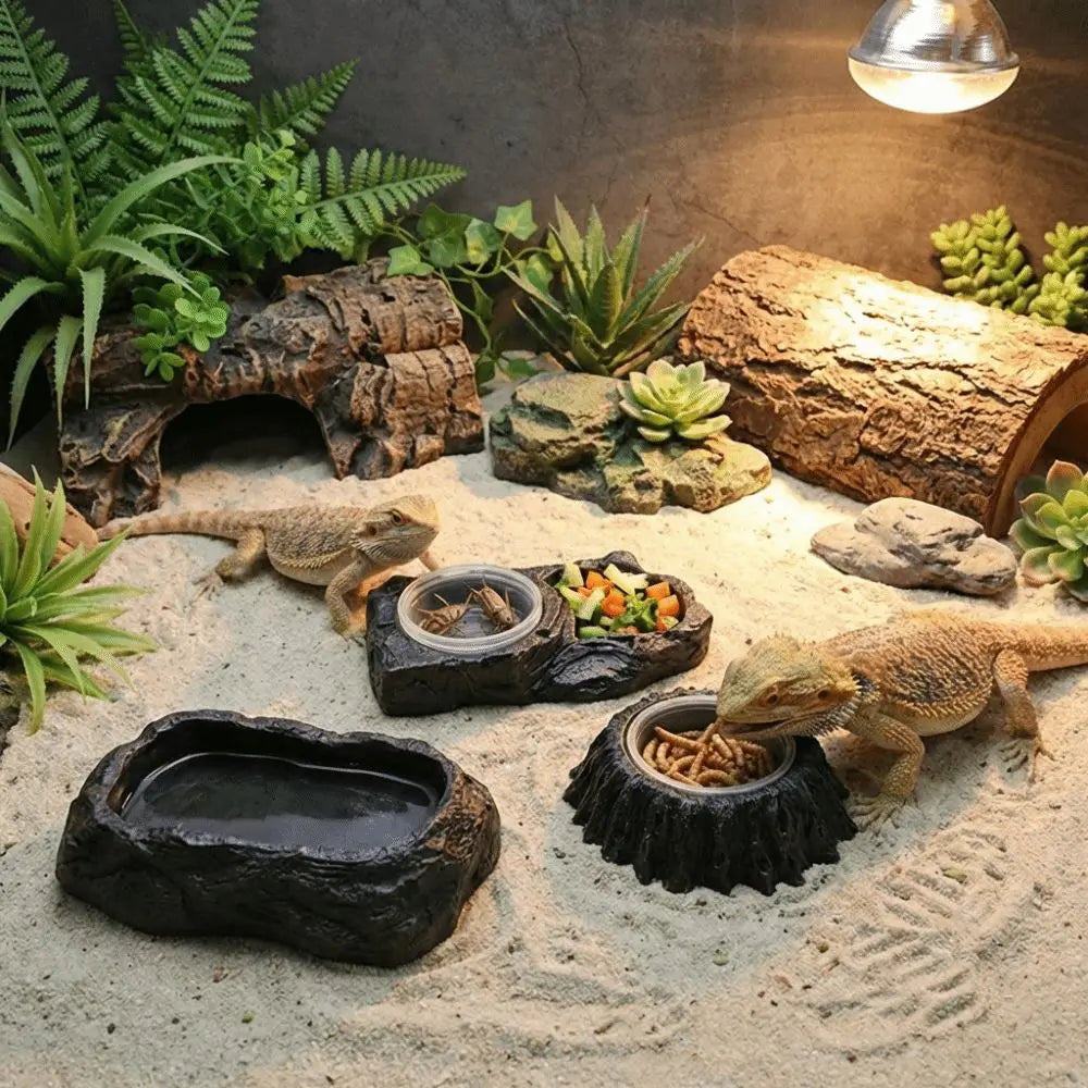 Plat d'alimentation en résine imitation pierre, résistant à l'usure, avec bols, bol pour nourriture de reptile, empêche les déversements, anti-choc