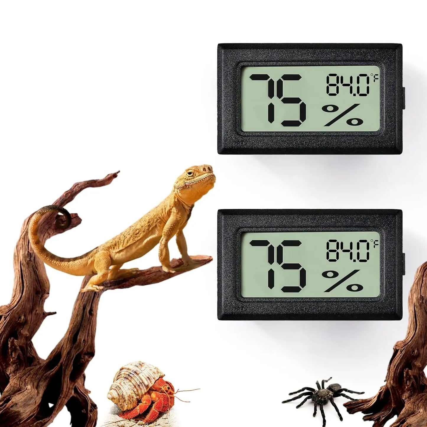 Thermomètre & Hygromètre LCD pour Terrarium Reptile – Haute Précision