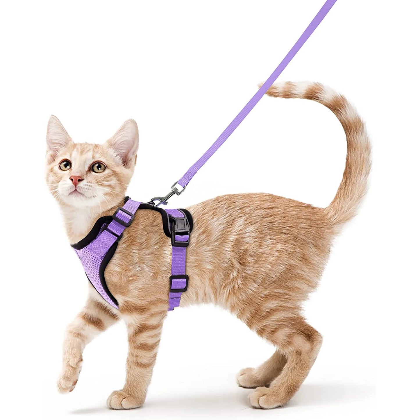 Kattenharnas en -riem, zacht en verstelbaar ontsnappingsbestendig vesttuigje voor katten, EasyControl