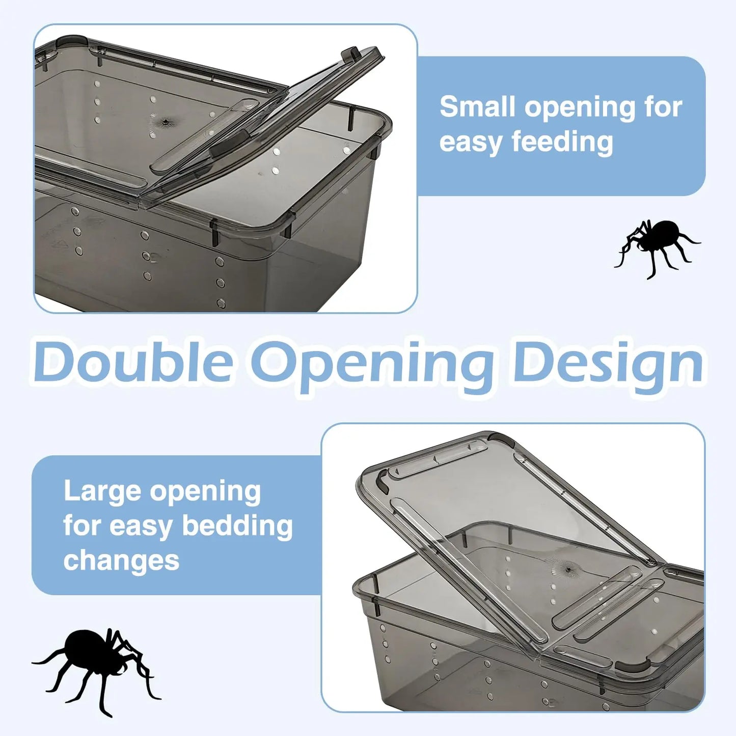 Terrarium en plastique pour Reptile, récipient de transport pour lézards, geckos, serpents, araignées, scorpions, coléoptères, mille-pattes, 6 pièces