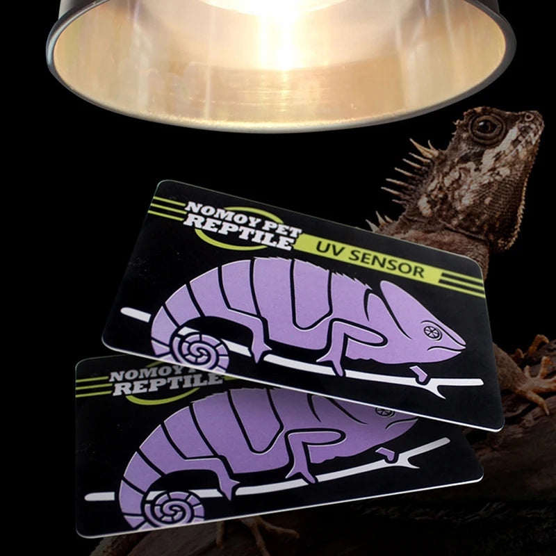 Carte Test UVB Réutilisable pour Terrarium Reptiles – Détection Intensité UV, 500 Utilisations