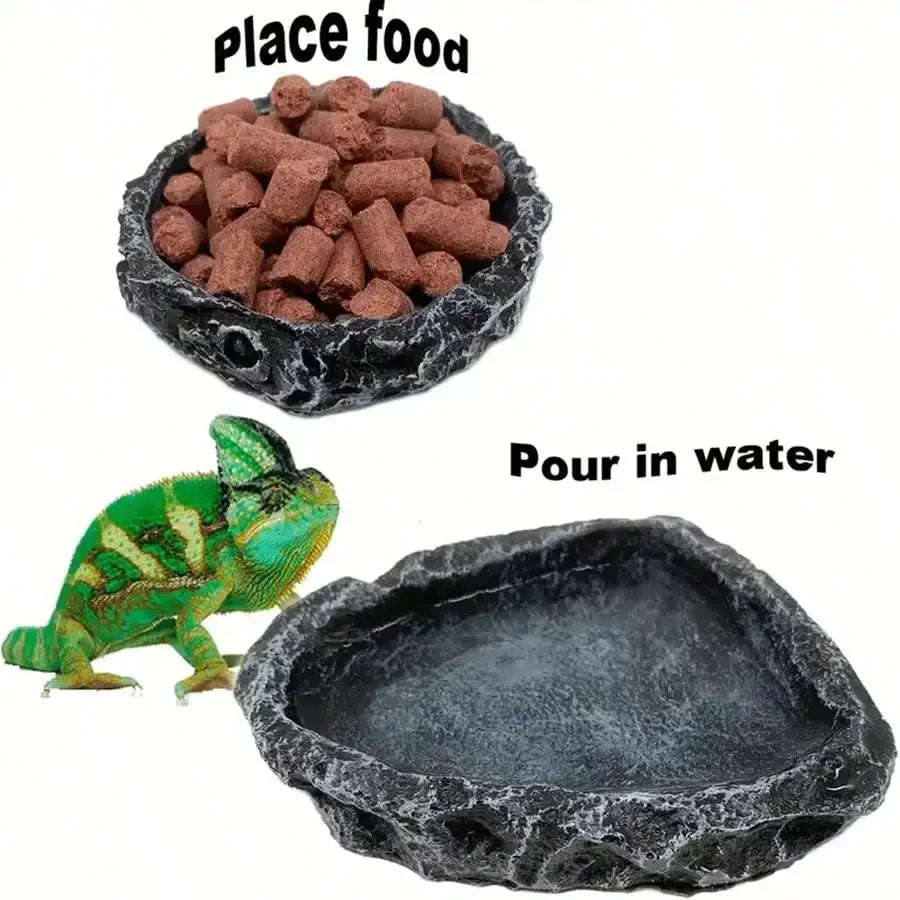 Bol Imitation Pierre pour Reptiles – Alimentation & Eau, Dragon Barbu