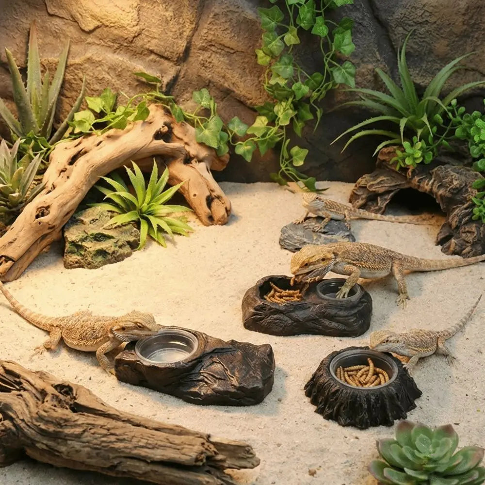 Plat d'alimentation en résine imitation pierre, résistant à l'usure, avec bols, bol pour nourriture de reptile, empêche les déversements, anti-choc