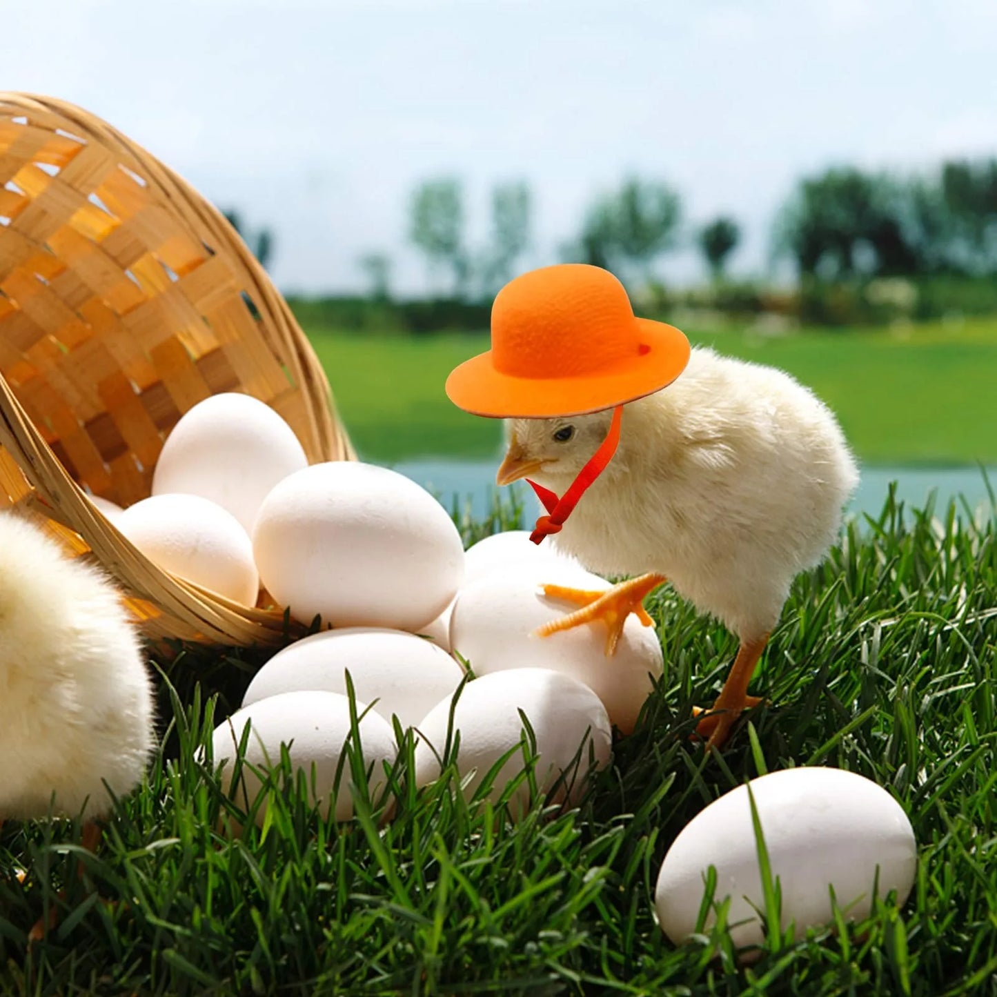 Mini Chapeau à Plumes pour Poule & Petits Animaux – 12 Couleurs