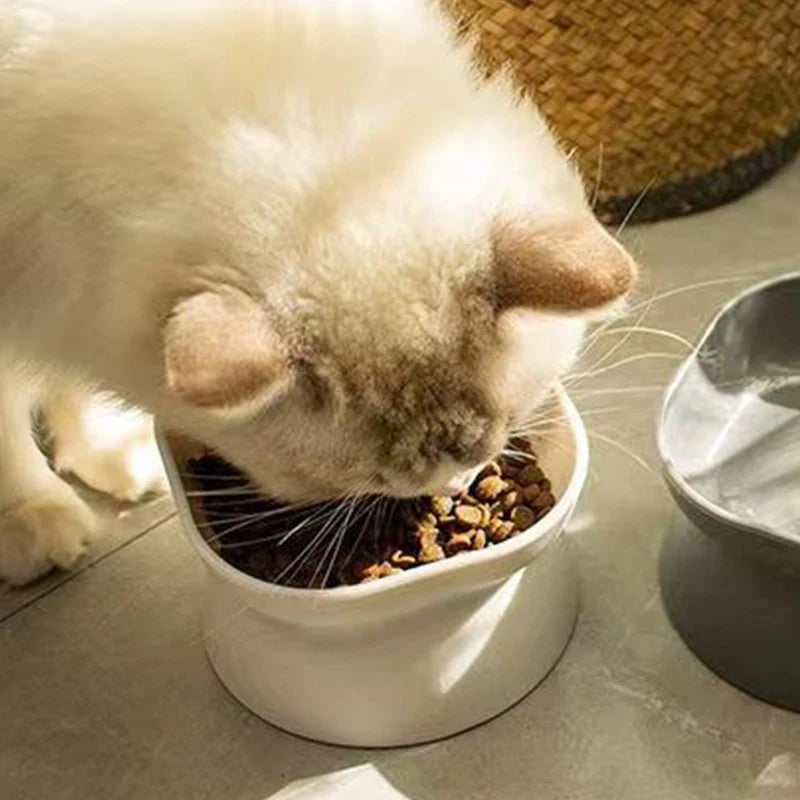 Bol double usage pour chat et chien – Réversible, surelévé, anti-vomissement