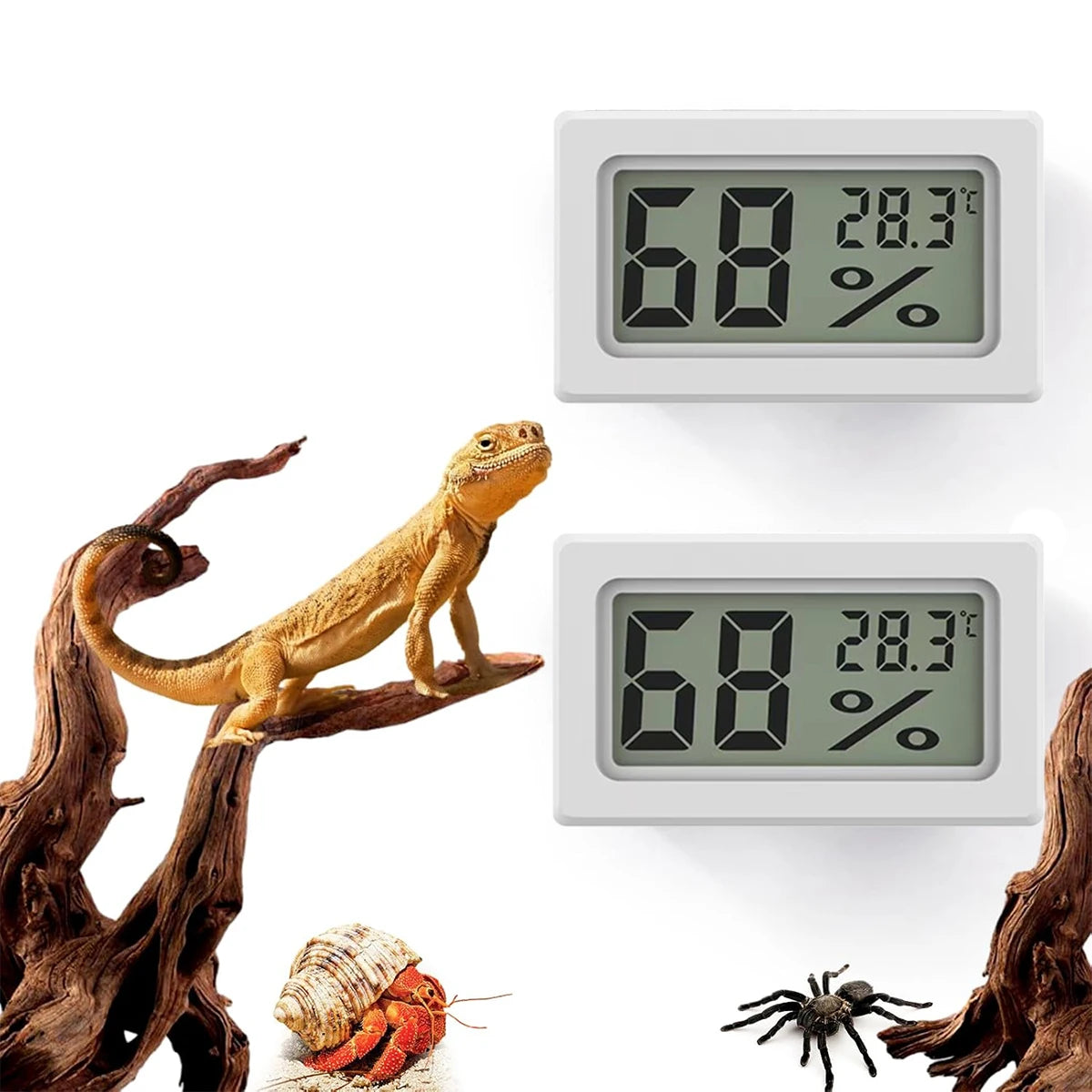 Thermomètre & Hygromètre LCD pour Terrarium Reptile – Haute Précision