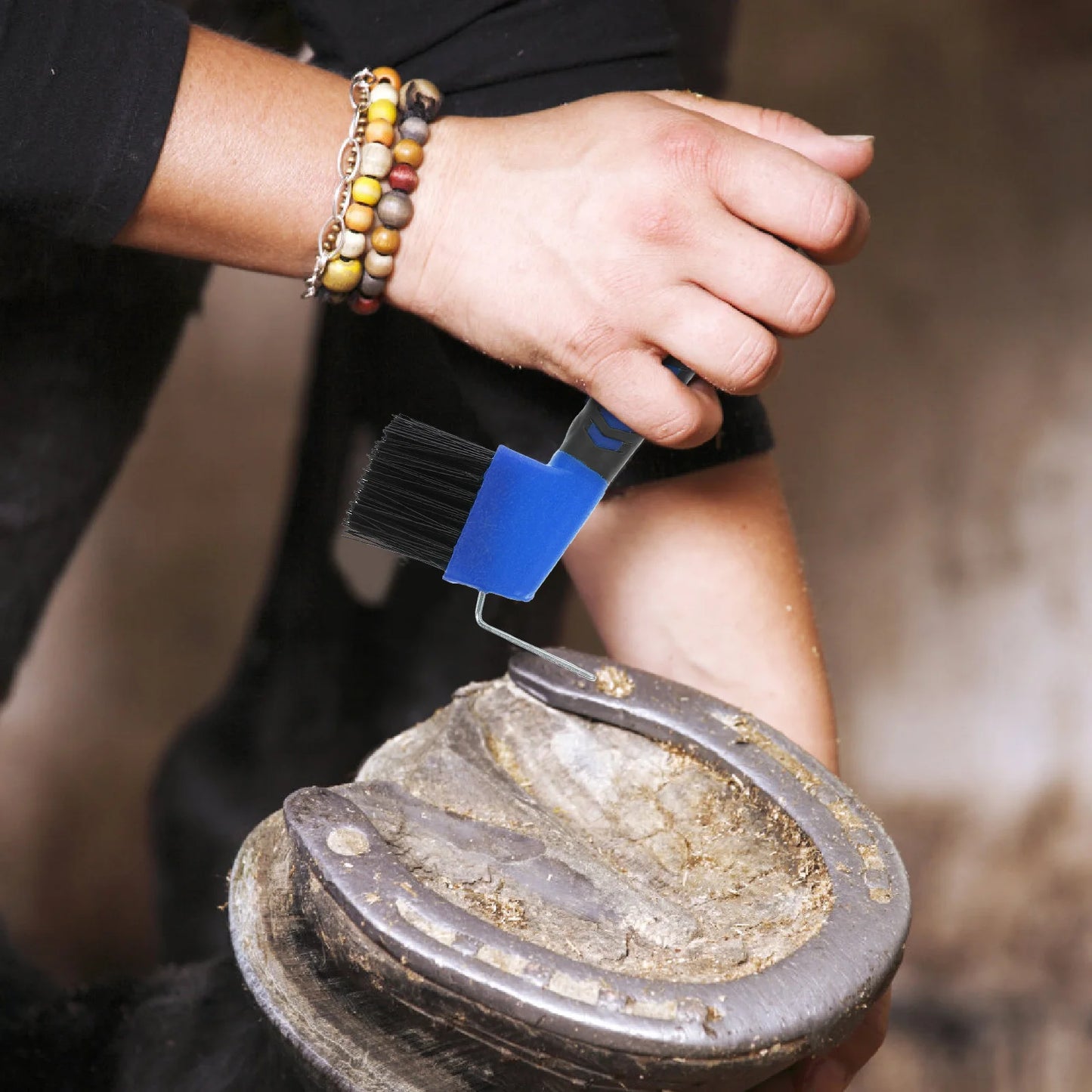 Outil efficace de soin des sabots de cheval, brosse de sélection et de poils en acier inoxydable, poignée confortable pour le toilettage et l'entretien