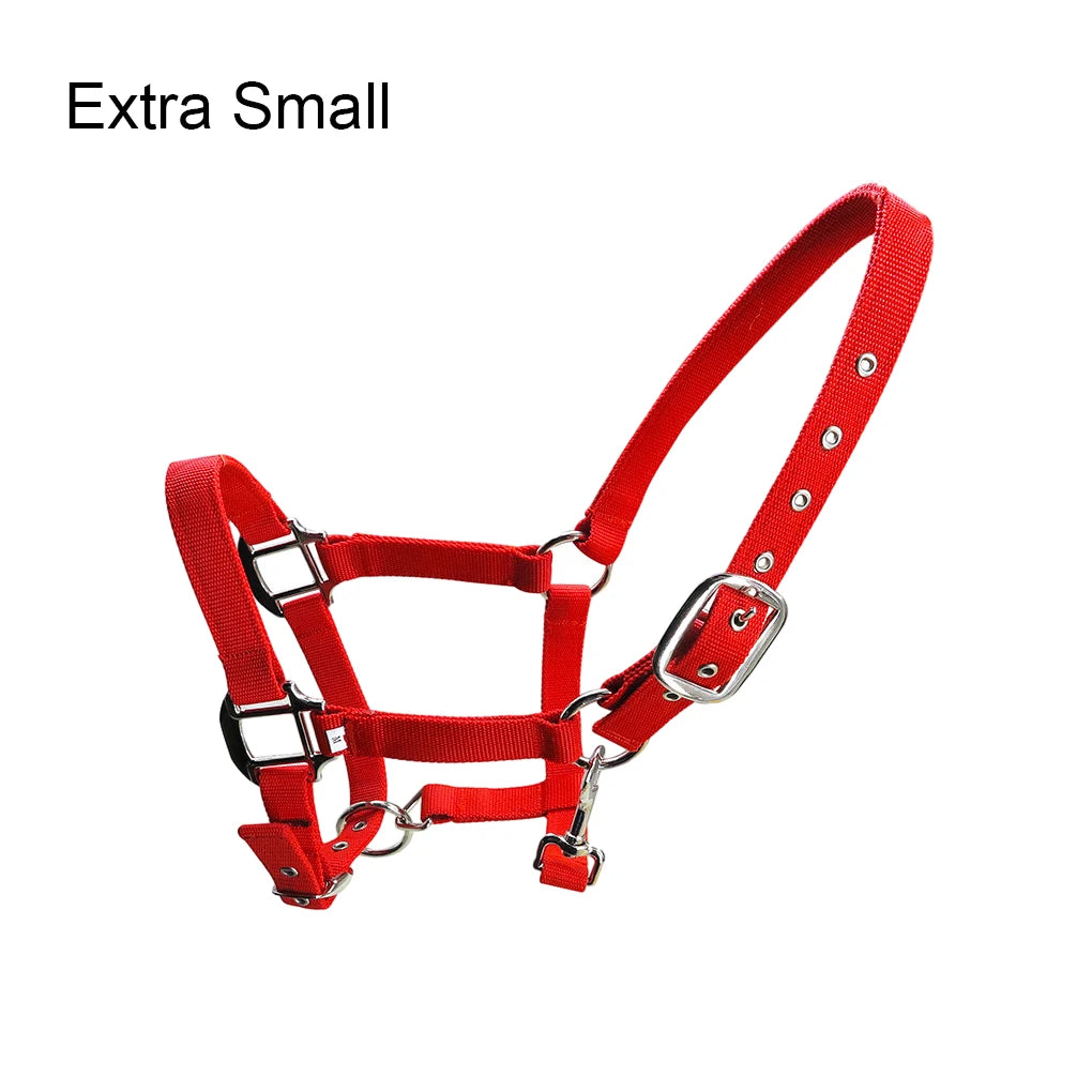 Licol Réglable Anti-Rouille pour Poney & Cheval – Alliage de Zinc, 3 Couleurs, XS à XL