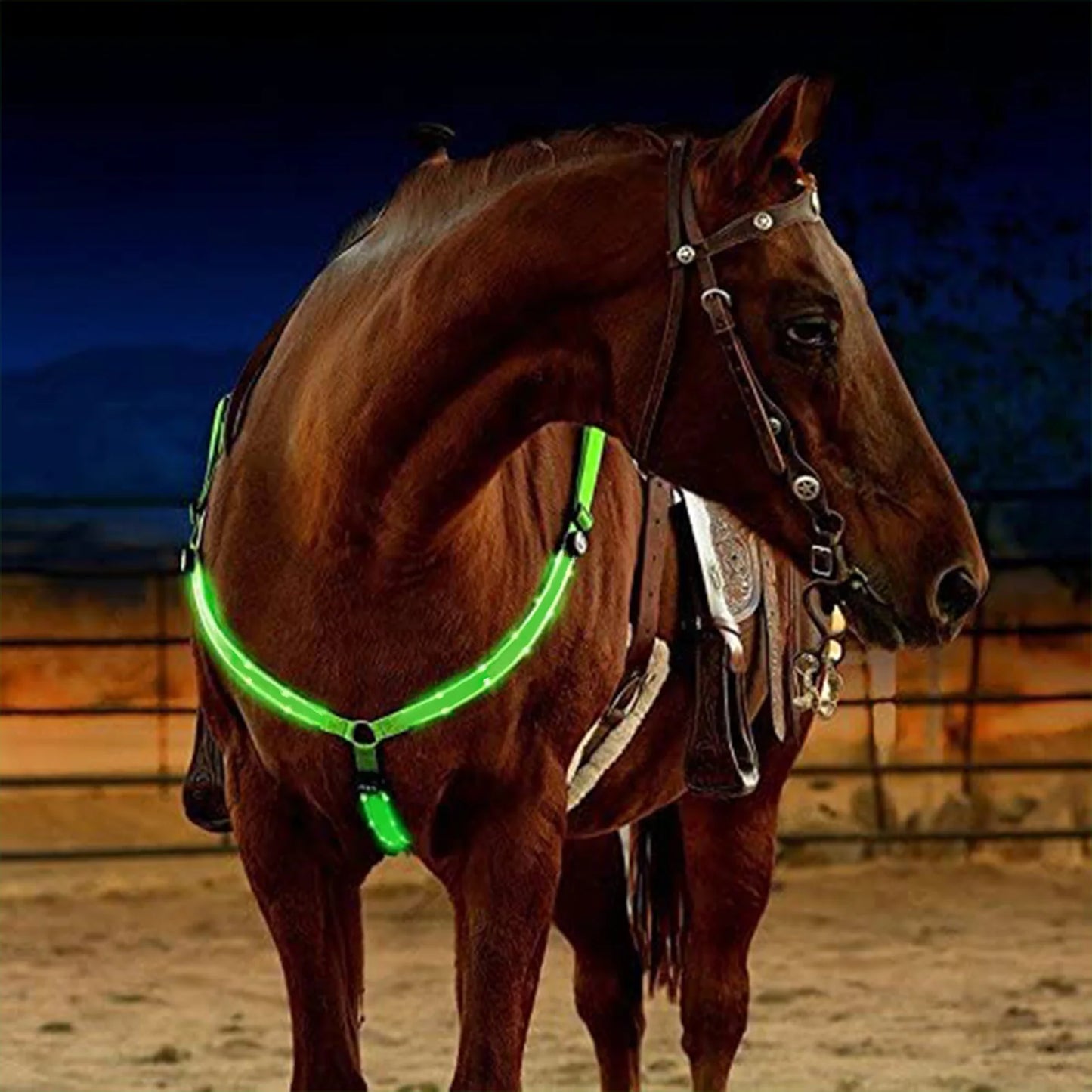 Harnais LED pour Cheval – Nylon, Visible de Nuit, Rechargeable USB, Rouge / Bleu / Vert