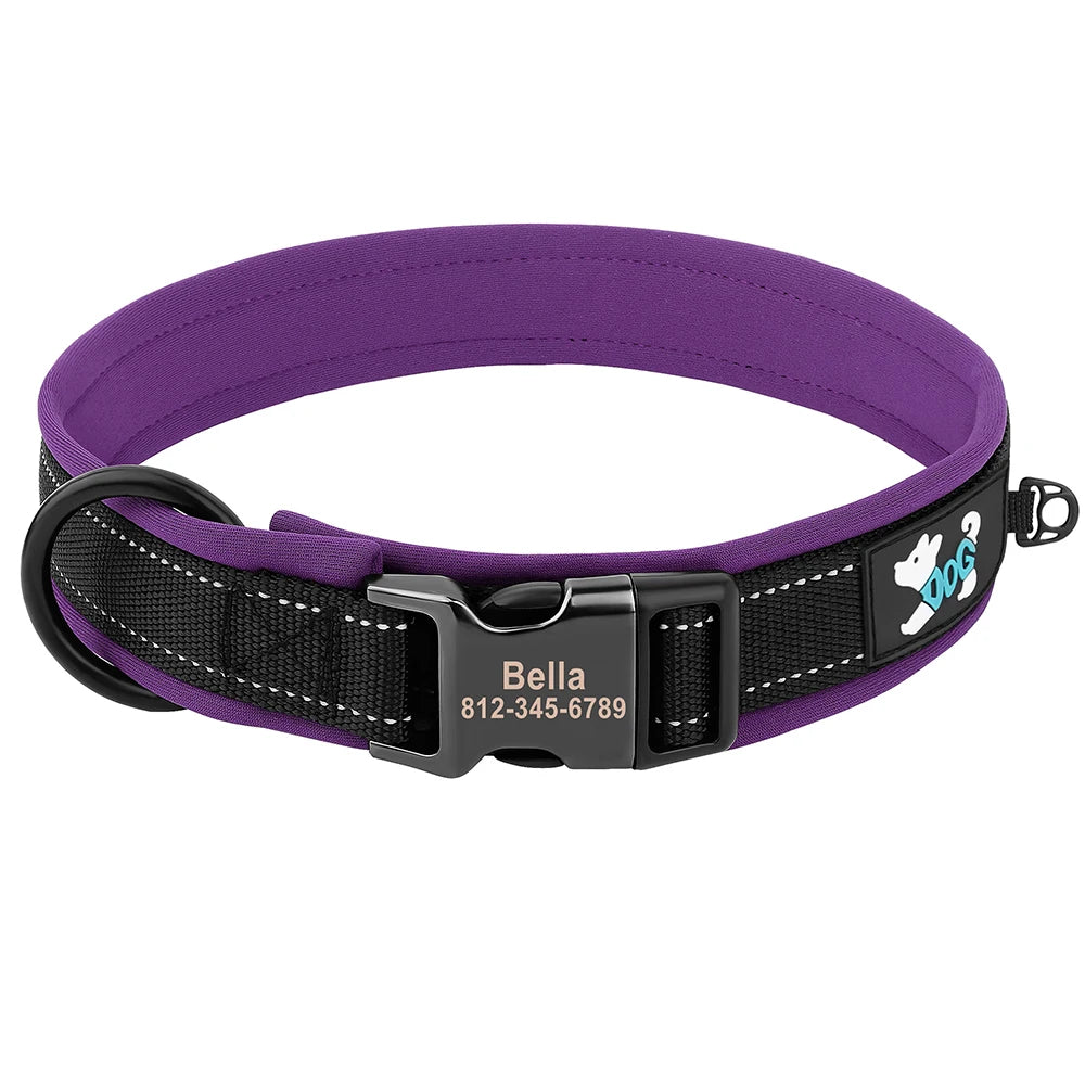 Collier pour Chien Personnalisable | Réfléchissant, Rembourré & Médaille Gravée Offerte