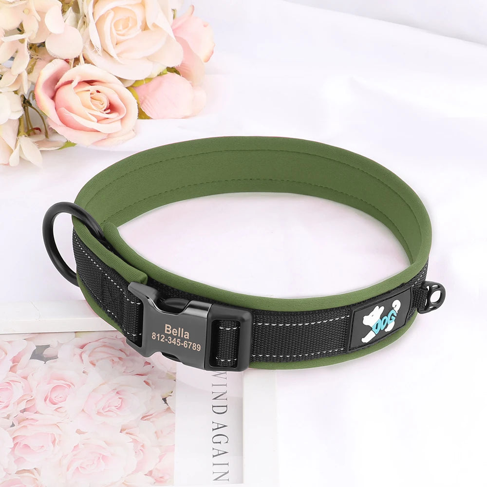 Collier pour Chien Personnalisable | Réfléchissant, Rembourré & Médaille Gravée Offerte