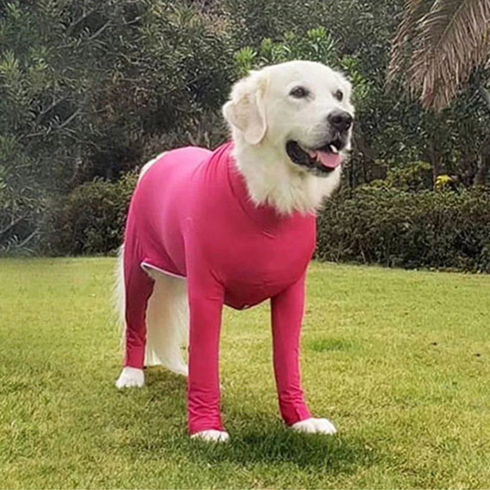 Combinaison pour Chien – Élasthanne, Anti-Perte de Poils, Convalescence, S à XXL