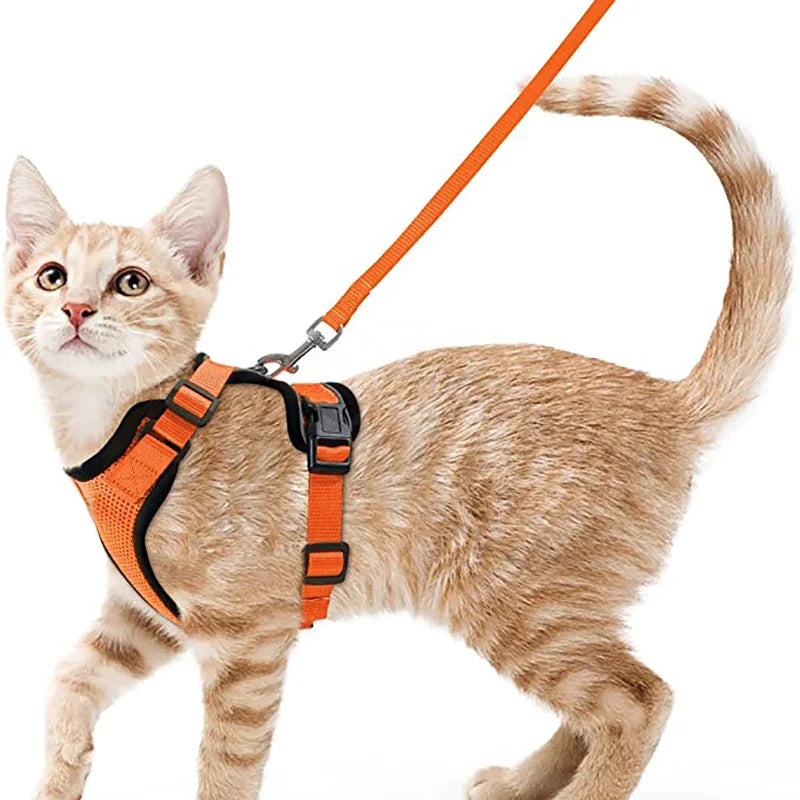 Kattenharnas en -riem, zacht en verstelbaar ontsnappingsbestendig vesttuigje voor katten, EasyControl