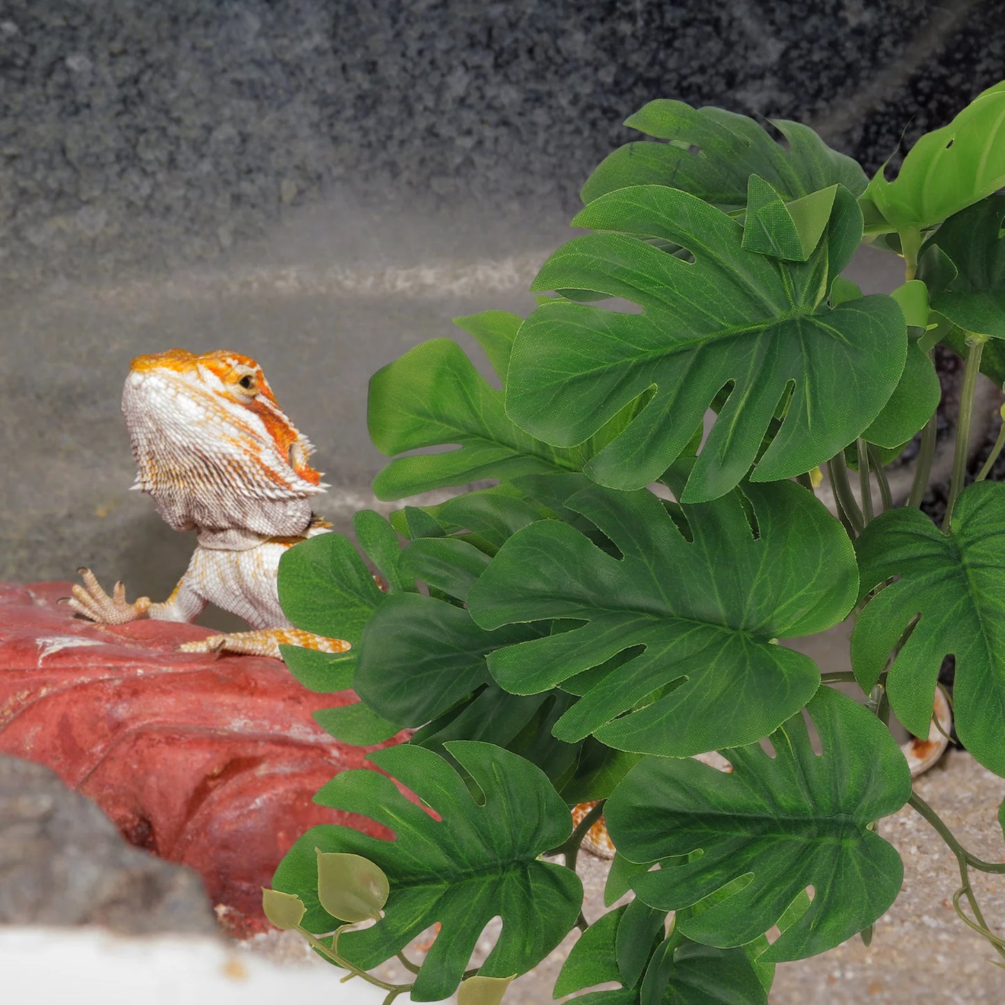 Plante Artificielle en Feuille pour Terrarium & Aquarium – Décor Reptiles & Amphibiens